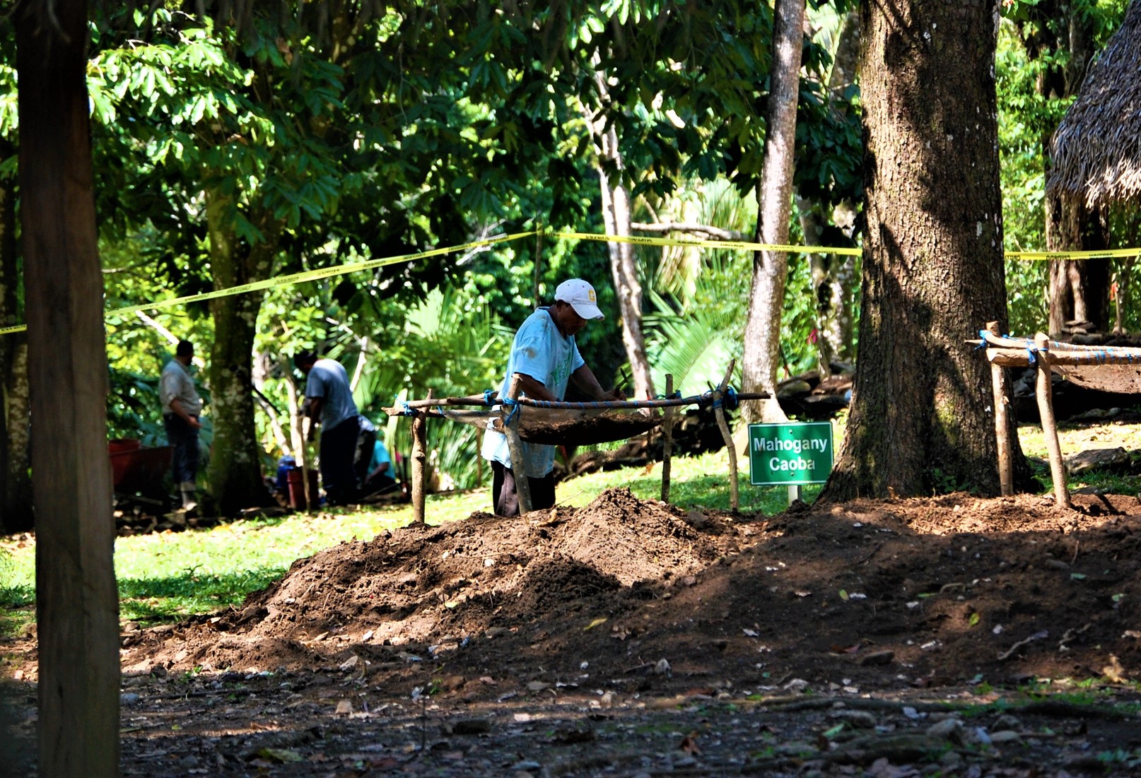 Nim Li Punit1 Distinctive Americas