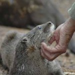 Karanambu Ranch | Distinctive Americas